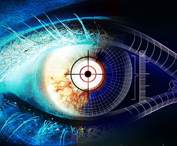 Iris recognition