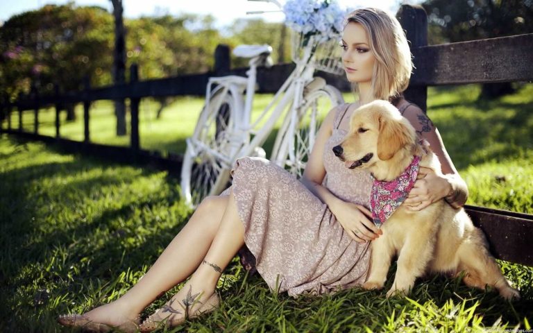 5 Best Dog Training Apps for Android