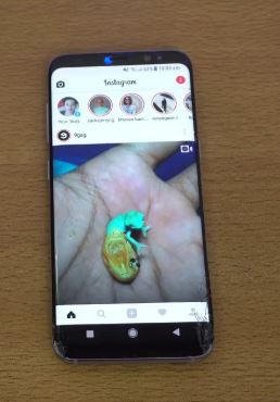How to fix Galaxy S8 Instagram app that keeps stopping [troubleshooting guide]