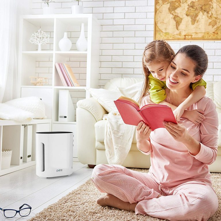 12 Best Smart Home Air Purifiers in 2024