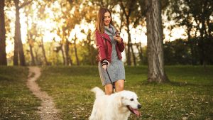 5 Best GPS Tracker Device For Dogs