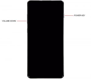 galaxy s10 plus won't turn on forced restart