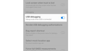 How to Access Developer Options and Enable USB Debugging on Galaxy S10