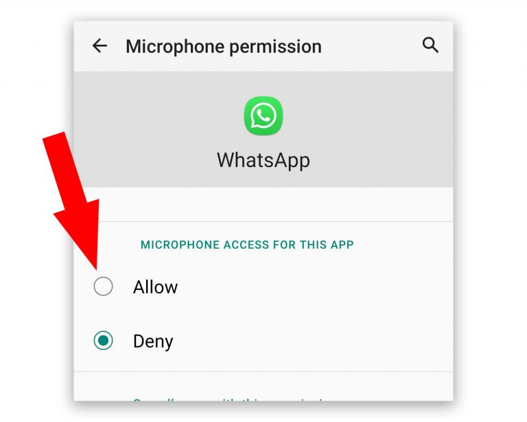 WhatsApp Microphone Not Working During Video Calls