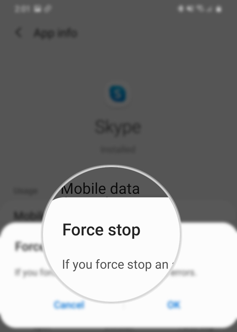 unable-to-connect-to-skpe-android-10-fix-force stop
