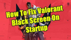 Top 4 Ways To Fix Valorant Black Screen