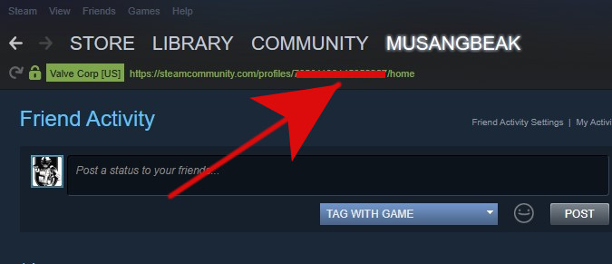 STeam ID number