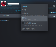 How To Appear Offline On Steam | QUICK & NEW 2020 Tutorial!