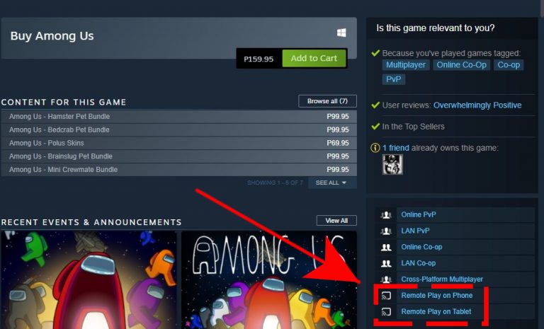 How To Fix Steam Remote Play Not Working Won T Connect NEW In 2024   Storepage To Check Remote Play Support 768x465 