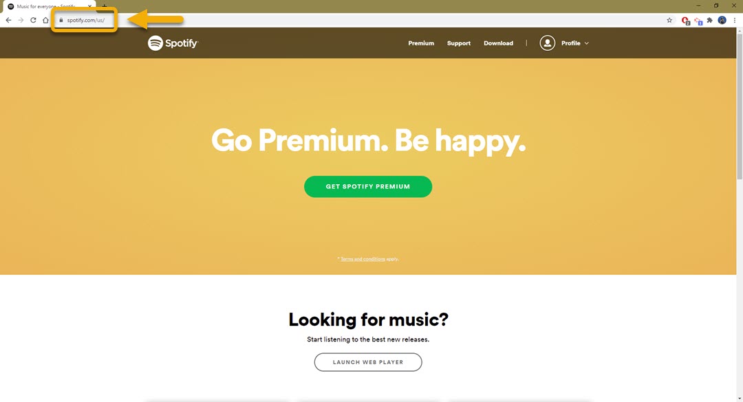 spotify cant sign up