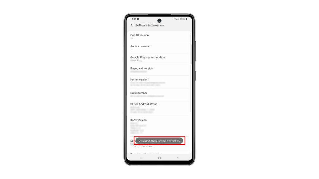 enable developer options galaxy a52 6