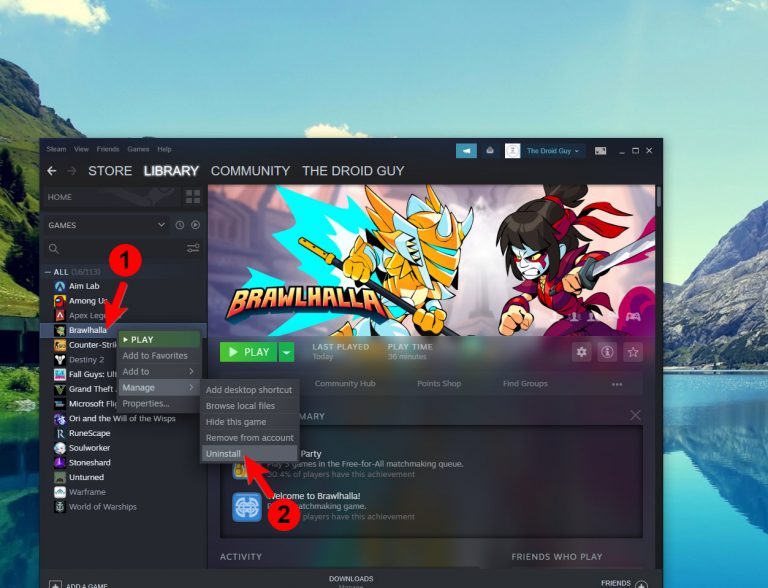 How To Fix The Brawlhalla Screen Flickering Issue on Steam
