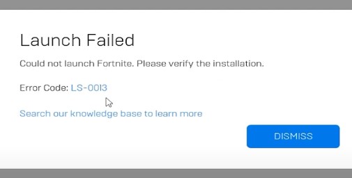 Fortnite LS 0013 Error