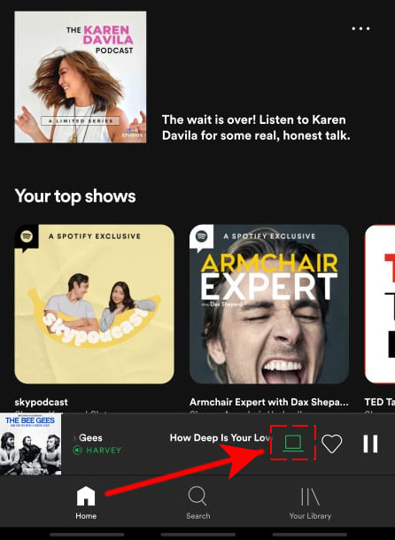 Spotify app mobile