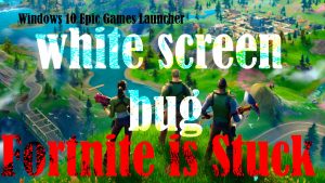 How to Fix Fortnite stuck on white screen in Windows 10 Epic Games