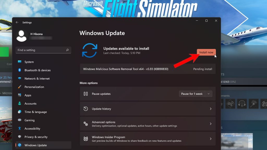 Microsoft Flight Simulator Crashes on Windows 11 10
