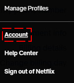 Netflix account