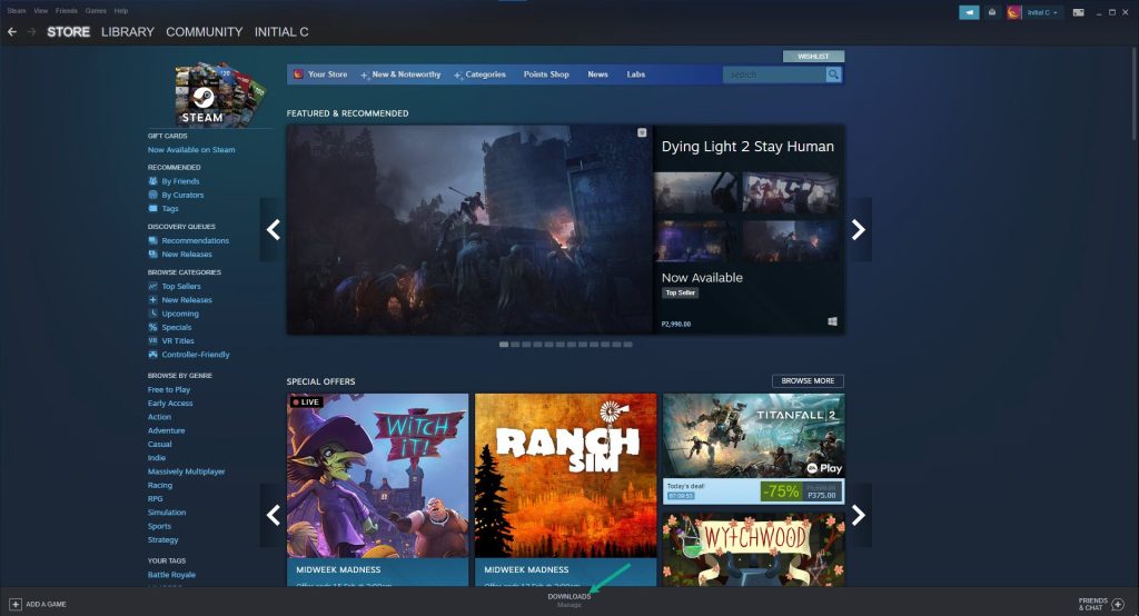 On your Steam Launcher, select downloads