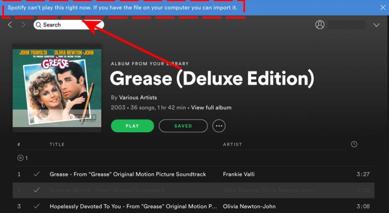 How To Fix “Spotify Can’t Play This Right Now” Error in 2024