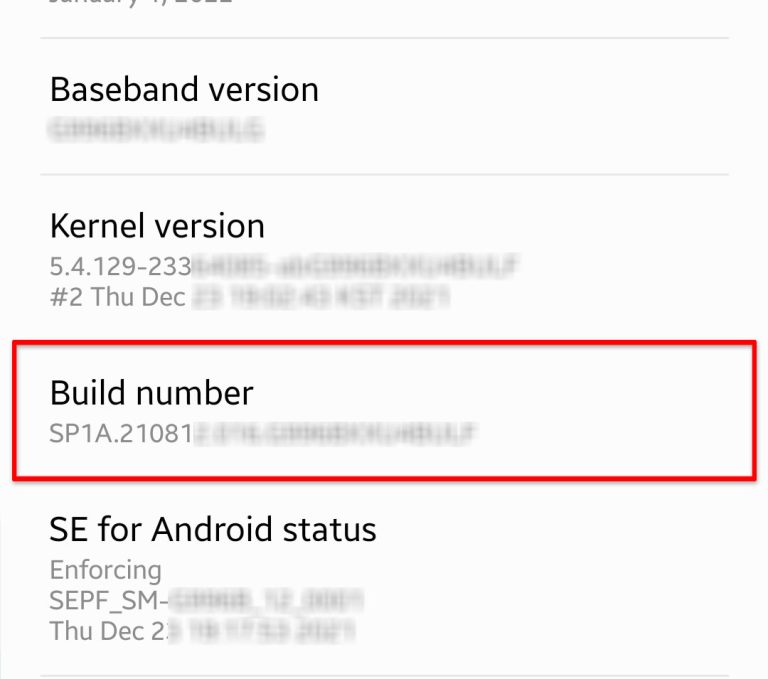 How To Enable Developer Options On Galaxy S22 Developer Mode The How To Enable Developer Options On Galaxy S22 Developer Mode The