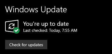 Method 3: Windows updates