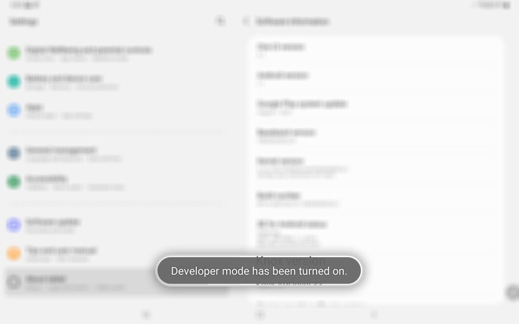 galaxy tab s8 developer options 5