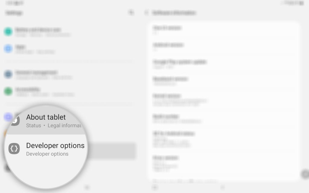 galaxy tab s8 developer options 6