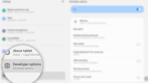 How to Enable Developer Options on Galaxy Tab S8 | Developer Mode
