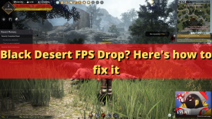 Black Desert FPS Drop? Here’s how to fix it