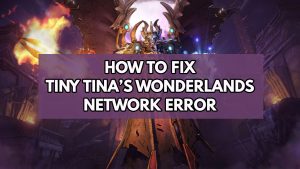 How To Fix Tiny Tina’s Wonderlands Network Error