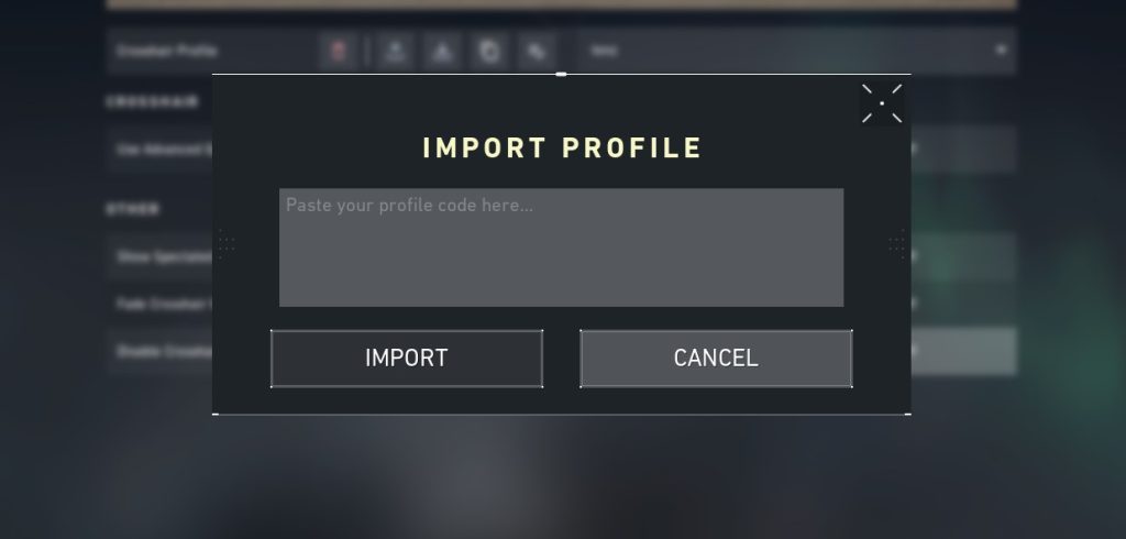 Step 7: A Import Profile window will pop up. Paste the Circle Crosshair Code.