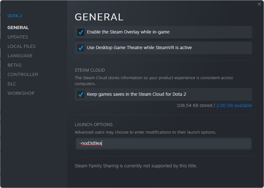 Launch options Steam