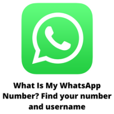 What Is My WhatsApp Number? Find your number and username