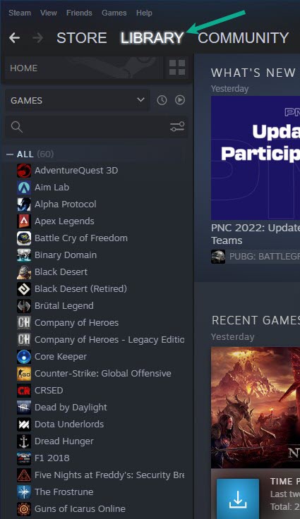 Go to Steam Library Tab