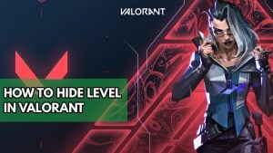 How To Hide Level In Valorant