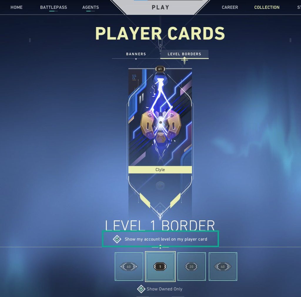 On the level border tab uncheck show my account level on my player card