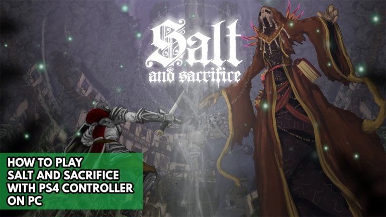 How To Play Salt And Sacrifice With PS4 Controller On PC