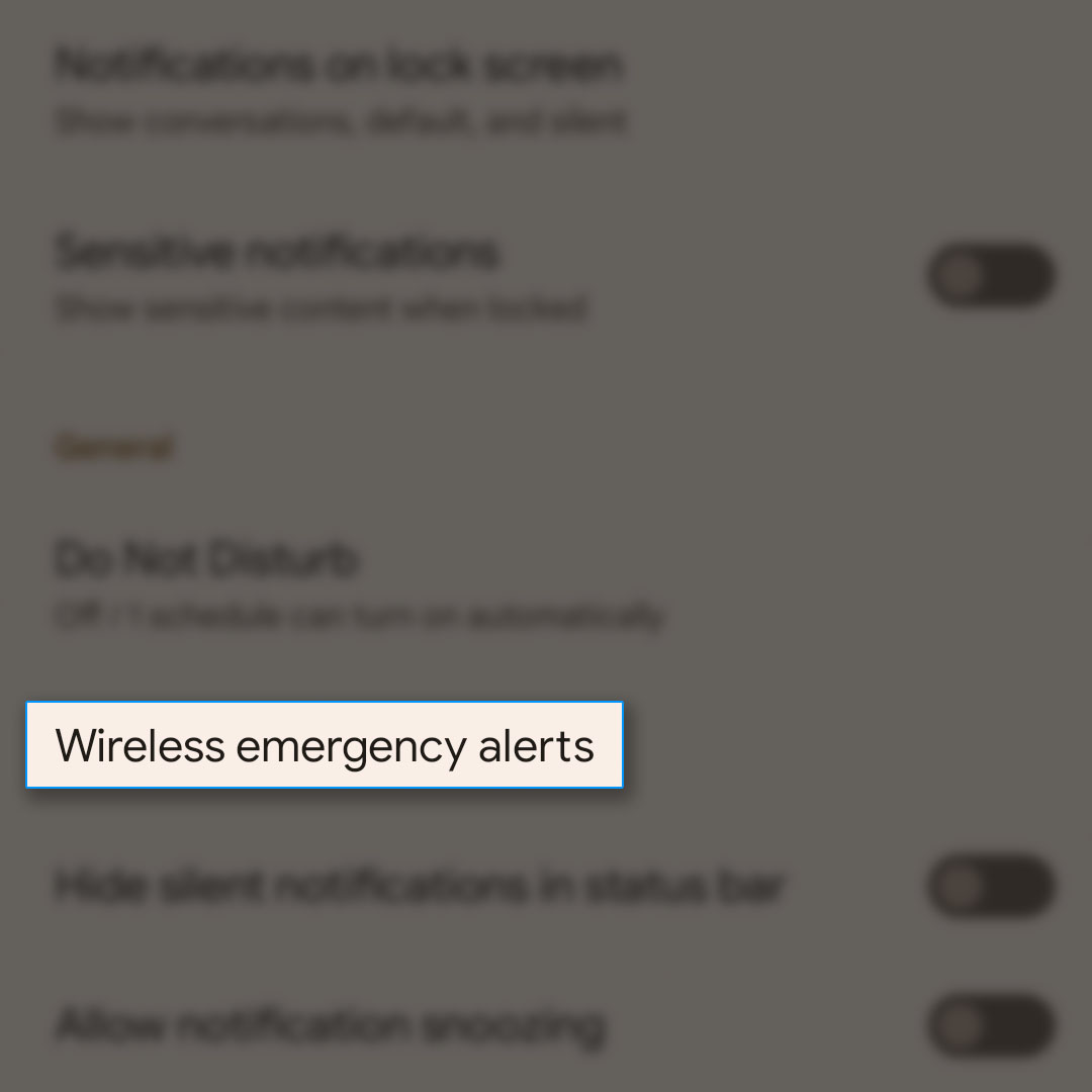 enable disable wireless emergency alerts pixel 7 3