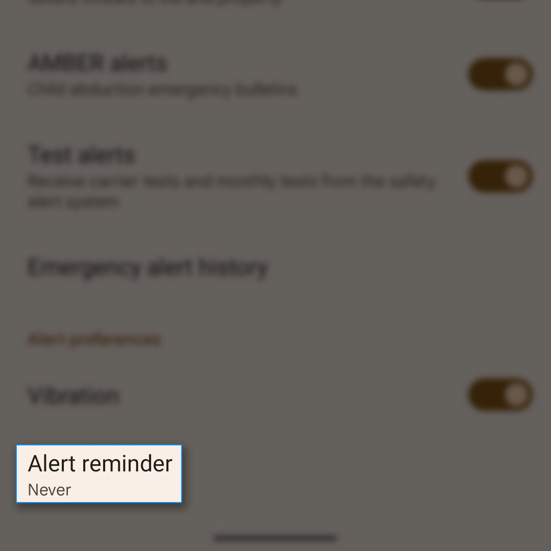enable disable wireless emergency alerts pixel 7 9