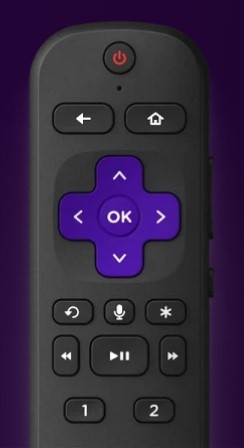 Roku Remote