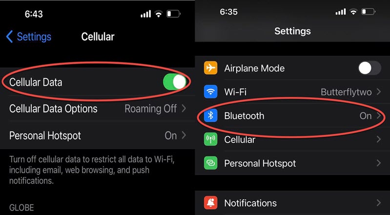 Make sure both Cellular Data and Bluetooth are enabled