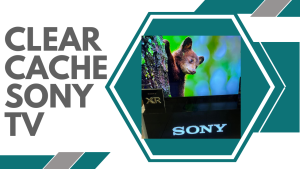 How To Clear Cache On Sony TV
