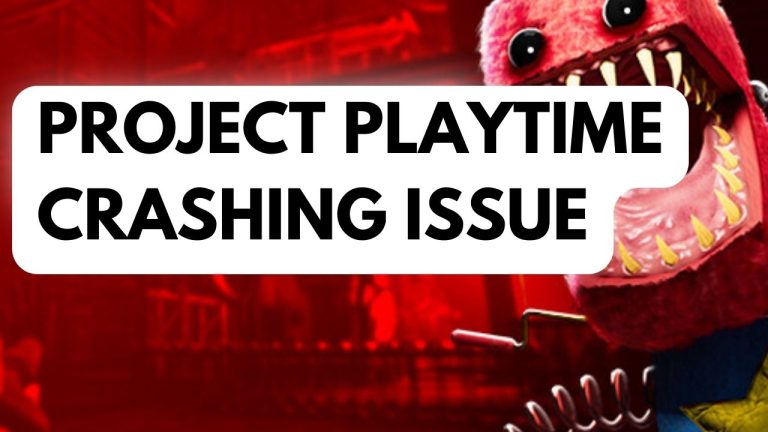How to Fix Project Playtime Crashing Issue