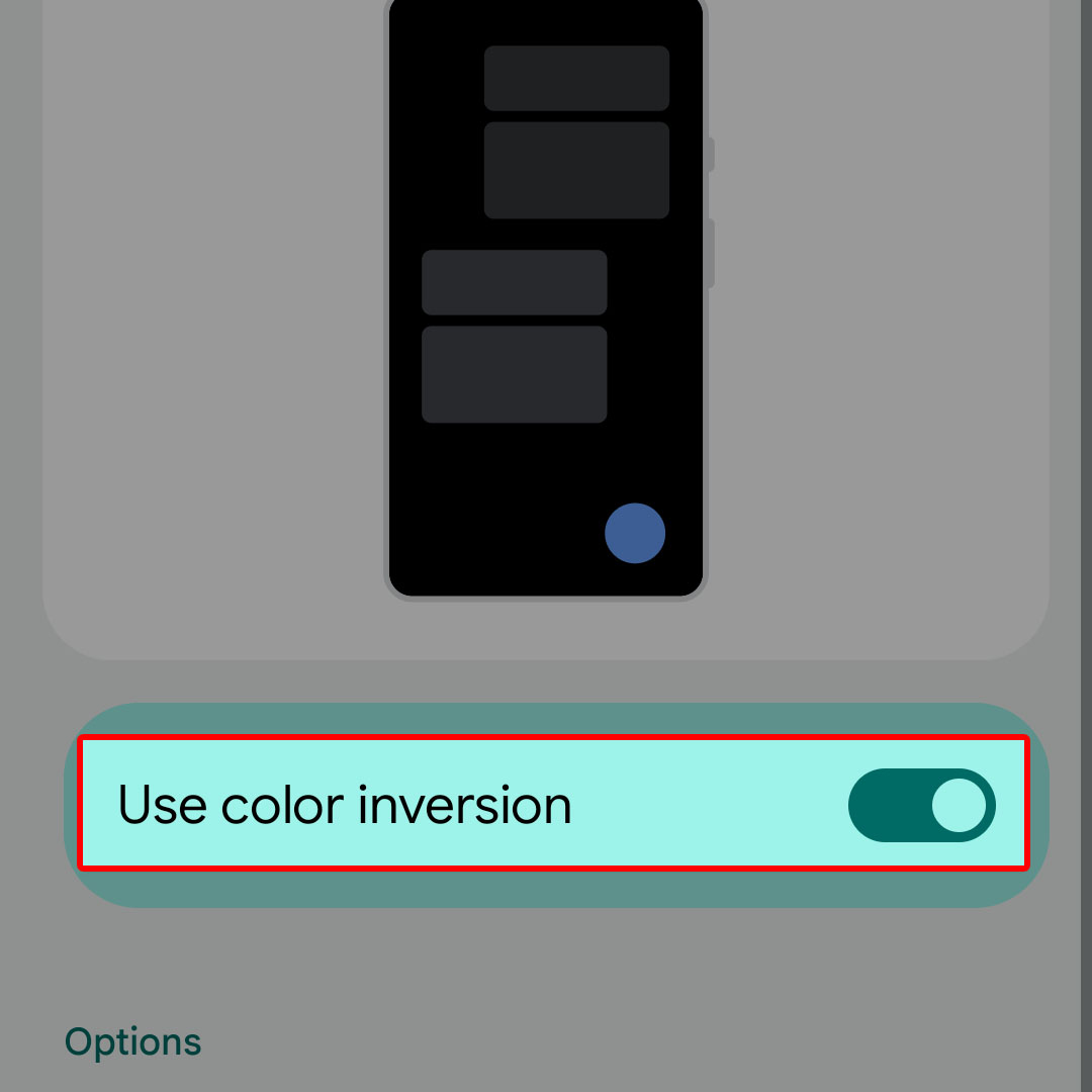 enable color inversion google