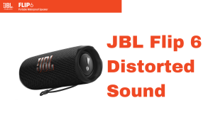 How To Fix JBL Flip 6 Distorted Sound