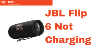 How To Fix JBL Flip 6 Not Charging
