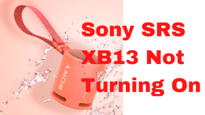 How To Fix Sony SRS XB13 Not Turning On
