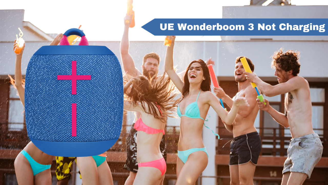 Ue wonderboom charging light hot sale flashing