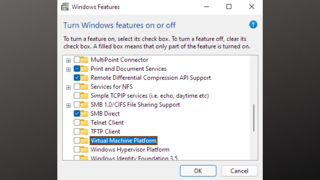 Optimize Windows 11.1