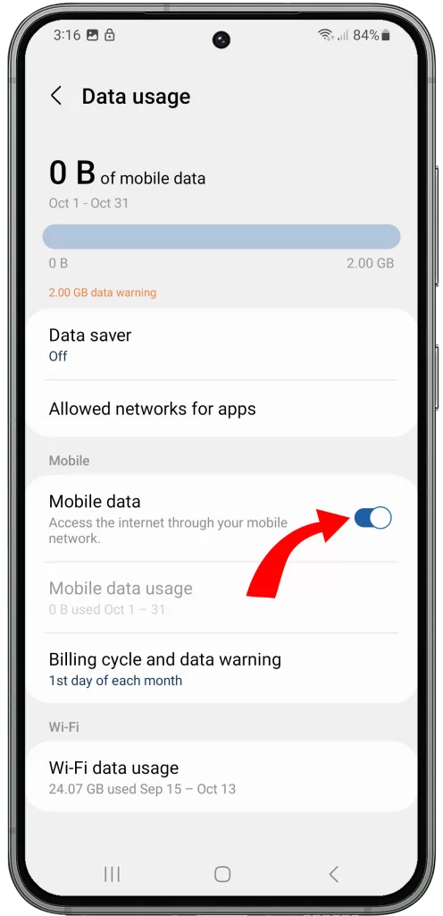 tap the switch next to mobile data to enable it